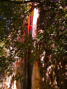 Darryl on the First ascent of the first half of Clamdigger