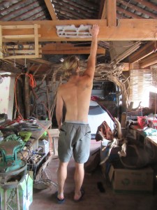 What your shoulder should do after getting the hold. If your shoulder stays elevated as you begin to pull you have problems.